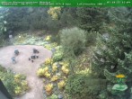 Archiv Foto Webcam Oberhof - Blick in den Rennsteiggarten 15:00