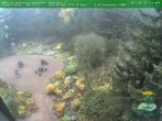 Archiv Foto Webcam Oberhof - Blick in den Rennsteiggarten 17:00