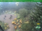 Archiv Foto Webcam Oberhof - Blick in den Rennsteiggarten 09:00