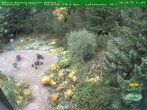 Archiv Foto Webcam Oberhof - Blick in den Rennsteiggarten 11:00
