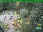 Archiv Foto Webcam Oberhof - Blick in den Rennsteiggarten 13:00