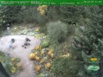 Archiv Foto Webcam Oberhof - Blick in den Rennsteiggarten 15:00