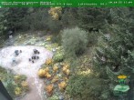 Archiv Foto Webcam Oberhof - Blick in den Rennsteiggarten 17:00