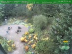 Archiv Foto Webcam Oberhof - Blick in den Rennsteiggarten 09:00