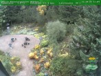Archiv Foto Webcam Oberhof - Blick in den Rennsteiggarten 11:00