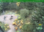Archiv Foto Webcam Oberhof - Blick in den Rennsteiggarten 13:00
