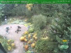Archiv Foto Webcam Oberhof - Blick in den Rennsteiggarten 15:00