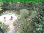 Archiv Foto Webcam Oberhof - Blick in den Rennsteiggarten 17:00