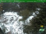 Archiv Foto Webcam Oberhof - Blick in den Rennsteiggarten 07:00