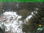 Archiv Foto Webcam Oberhof - Blick in den Rennsteiggarten 09:00