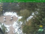 Archiv Foto Webcam Oberhof - Blick in den Rennsteiggarten 11:00