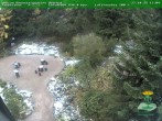 Archiv Foto Webcam Oberhof - Blick in den Rennsteiggarten 13:00
