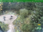 Archiv Foto Webcam Oberhof - Blick in den Rennsteiggarten 09:00