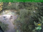 Archiv Foto Webcam Oberhof - Blick in den Rennsteiggarten 13:00