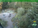 Archived image Webcam Oberhof - Botanical Garden 17:00