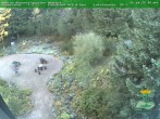 Archiv Foto Webcam Oberhof - Blick in den Rennsteiggarten 07:00