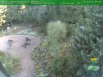 Archiv Foto Webcam Oberhof - Blick in den Rennsteiggarten 09:00