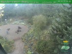 Archiv Foto Webcam Oberhof - Blick in den Rennsteiggarten 07:00