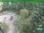 Archiv Foto Webcam Oberhof - Blick in den Rennsteiggarten 09:00