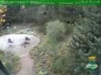 Archiv Foto Webcam Oberhof - Blick in den Rennsteiggarten 13:00