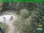 Archiv Foto Webcam Oberhof - Blick in den Rennsteiggarten 15:00