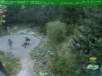 Archiv Foto Webcam Oberhof - Blick in den Rennsteiggarten 17:00
