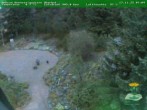 Archiv Foto Webcam Oberhof - Blick in den Rennsteiggarten 07:00
