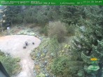 Archiv Foto Webcam Oberhof - Blick in den Rennsteiggarten 10:00