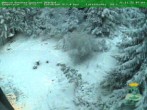 Archiv Foto Webcam Oberhof - Blick in den Rennsteiggarten 07:00