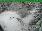 Archiv Foto Webcam Oberhof - Blick in den Rennsteiggarten 11:00