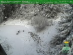 Archiv Foto Webcam Oberhof - Blick in den Rennsteiggarten 15:00
