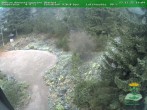 Archiv Foto Webcam Oberhof - Blick in den Rennsteiggarten 14:00