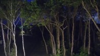 Archiv Foto Webcam Markgrafenheide Strandresort Ostsee 01:00