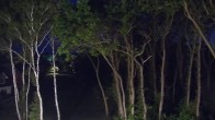 Archiv Foto Webcam Markgrafenheide Strandresort Ostsee 01:00