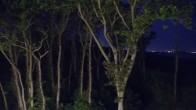 Archiv Foto Webcam Markgrafenheide Strandresort Ostsee 01:00