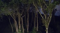 Archiv Foto Webcam Markgrafenheide Strandresort Ostsee 01:00