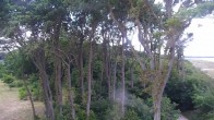 Archived image Webcam Markgrafenheide Beach Resort 06:00