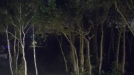 Archiv Foto Webcam Markgrafenheide Strandresort Ostsee 23:00