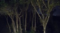 Archiv Foto Webcam Markgrafenheide Strandresort Ostsee 01:00