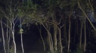 Archiv Foto Webcam Markgrafenheide Strandresort Ostsee 03:00