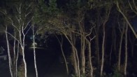 Archiv Foto Webcam Markgrafenheide Strandresort Ostsee 21:00