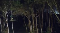 Archived image Webcam Markgrafenheide Beach Resort 23:00