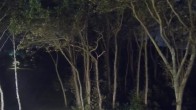 Archived image Webcam Markgrafenheide Beach Resort 23:00