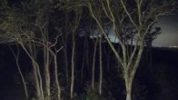 Archived image Webcam Markgrafenheide Beach Resort 01:00