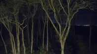 Archiv Foto Webcam Markgrafenheide Strandresort Ostsee 23:00