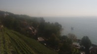 Archived image Webcam Meersburg at the State Winery 11:00