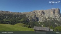 Archiv Foto Webcam Seiser Alm: Spitzbühl Station 08:00