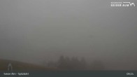 Archiv Foto Webcam Seiser Alm: Spitzbühl Station 08:00