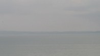 Archiv Foto Webcam Sassnitz an der Ostsee: Stadthafen 09:00
