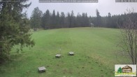 Archived image Webcam Todtnauberg - Scheuermatthof 09:00